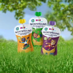 Hipp squeeze poser, 100% økologisk frugt uden tilsat sukker, 6 X 120 gram Mother and Child Naty Shop