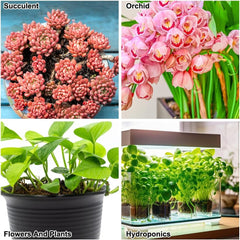 Grovkornet lergranulat, ekspanderet lergranulat, plantegranulat, ekspanderet ler 1L hydroponisk plantesubstrat, 5-8 mm granuleret lergranulat