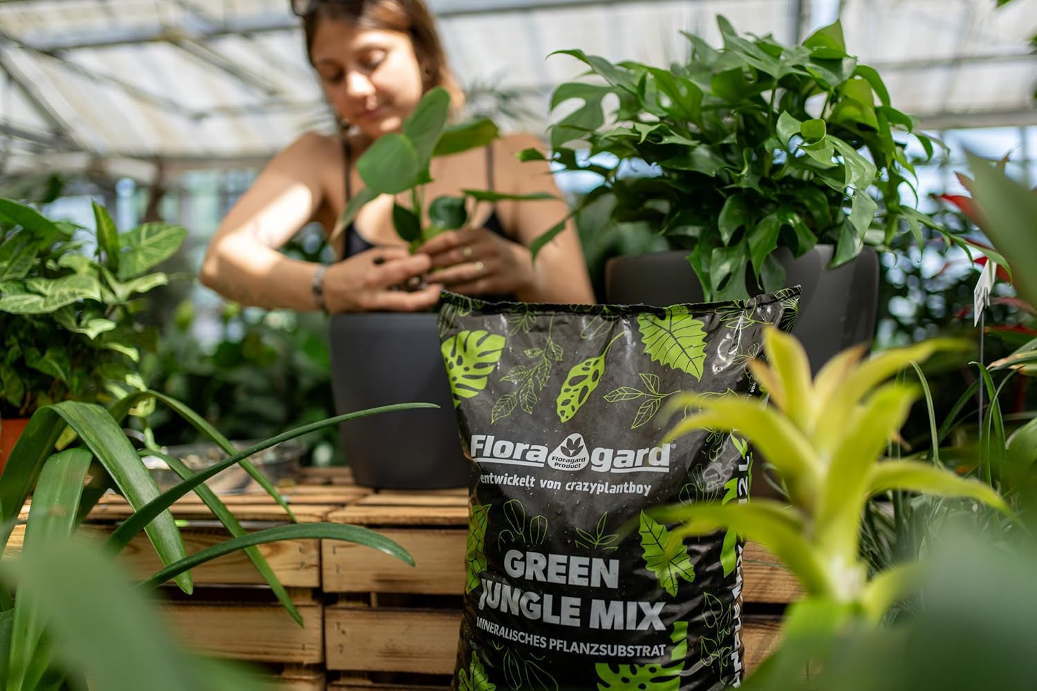 Floragard Green Jungle Mix 6 L - mineralsk substrat til plantning af Monstera, Philodendron - sikrer optimal dræning og sund rodvækst - ideel til krævende stueplanter