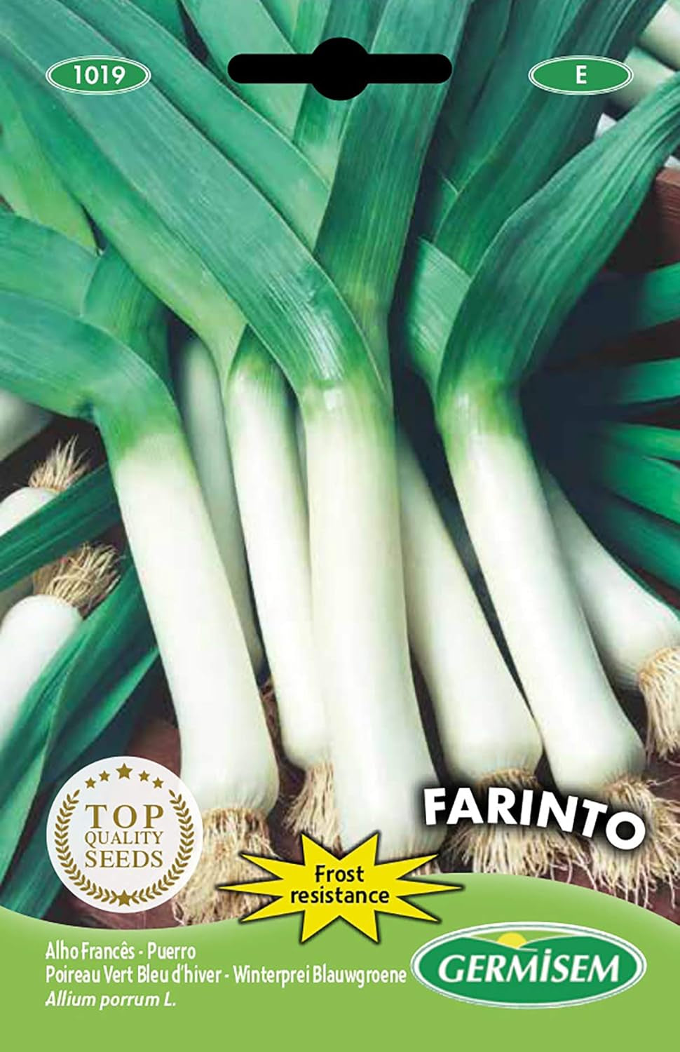 Lauch WINTER GIANT, Mehrfarbig, EC1017