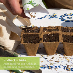 Echinacea frø: Premium gule Echinacea frø til omkring 20 blomstrende Echinacea planter - Rudbeckia frø - Hardy Rudbeckia - Echinacea stauder - hårdføre stauder af OwnGrown