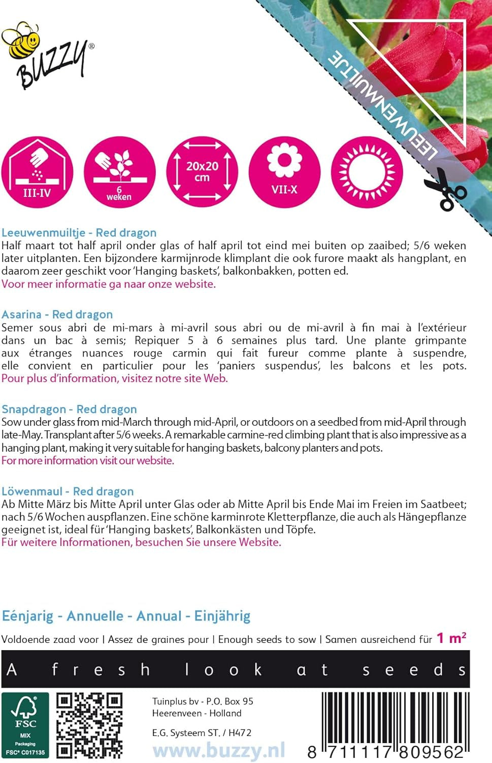 Nynnende klatrende blomster, Red Dragon Asarina