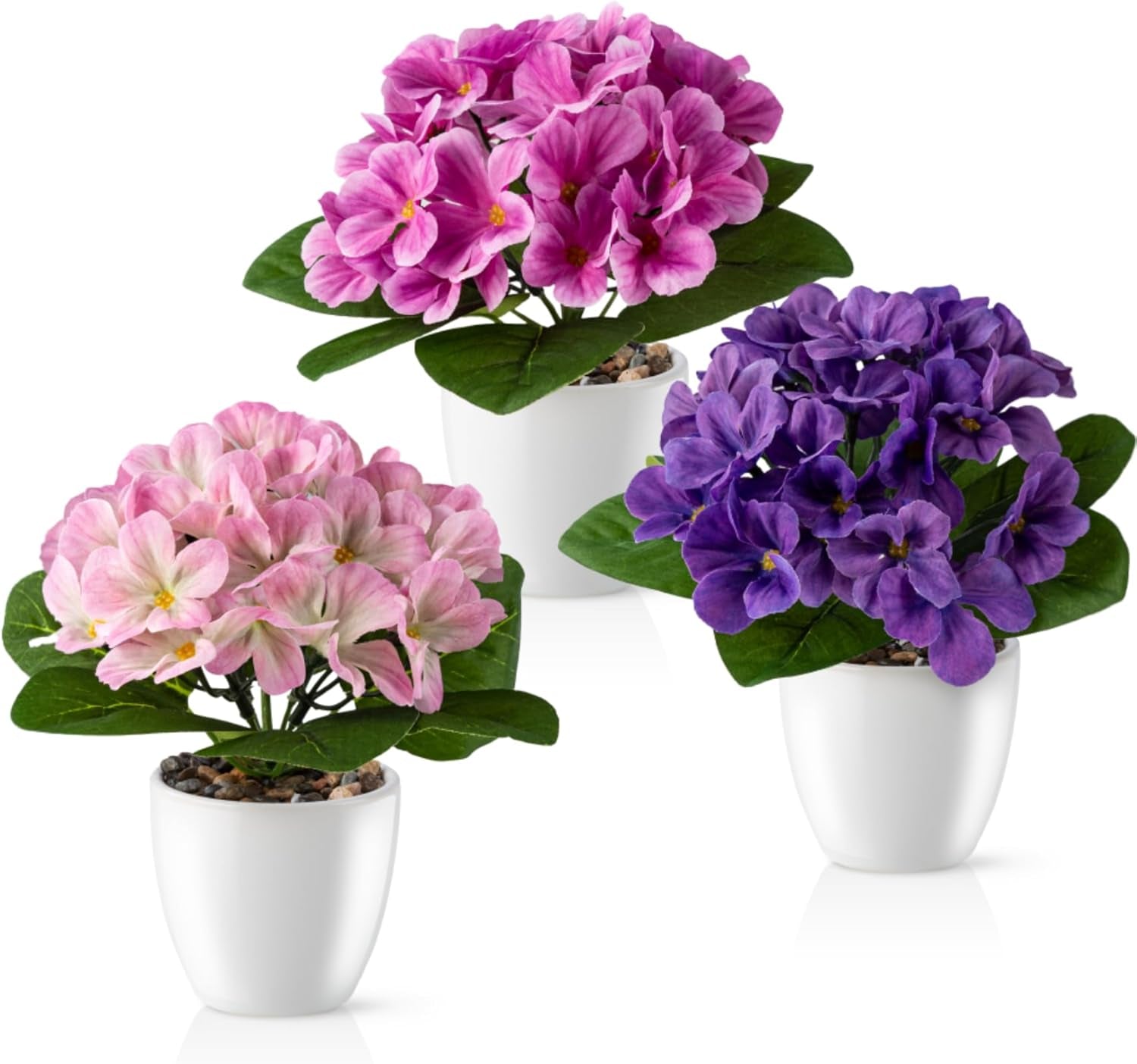 PASCH® Begonie Im Hochglanz-Keramiktopf | Kunstblumen Im Topf | Künstliche Blumen Wie Echt | Fake Blumen | Kunstblumen Wie Echt (Japanische Begonie, 3 Stück, 16Cm)