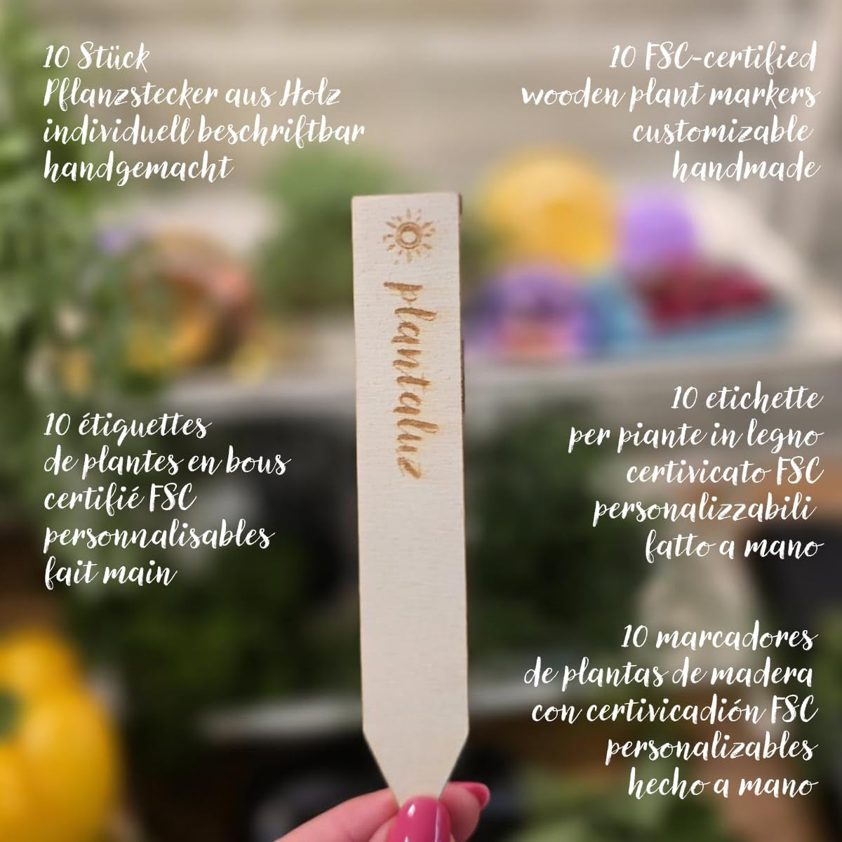 Plantaluz Premium økologisk frøsæt P04 – Middelhavsgrøntsags- og urtefrøsæt med 10 sorter til have, balkon og højbede – inklusive FSC-plantepinde – Frie bestøvede og GMO-frie økologiske frø