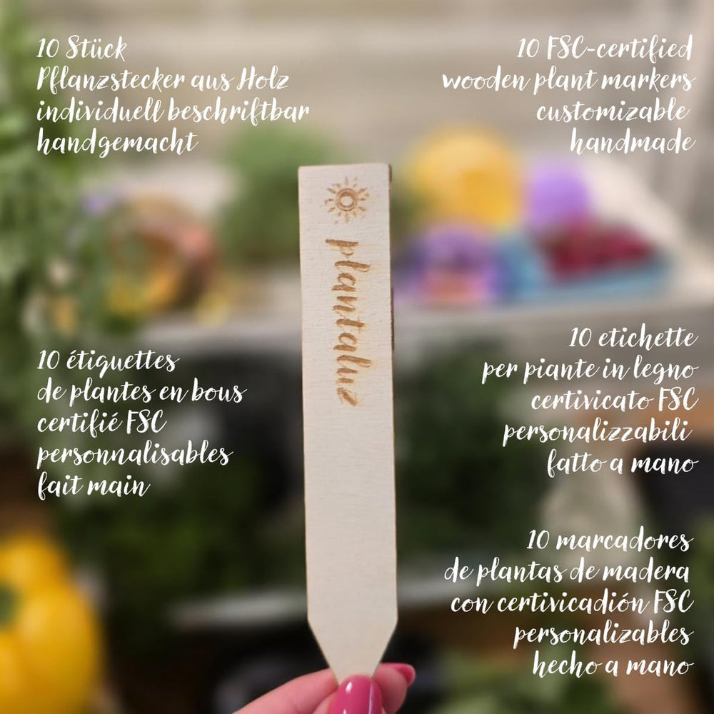 Plantaluz Premium økologisk frøsæt P04 – Middelhavsgrøntsags- og urtefrøsæt med 10 sorter til have, balkon og højbede – inklusive FSC-plantepinde – Frie bestøvede og GMO-frie økologiske frø