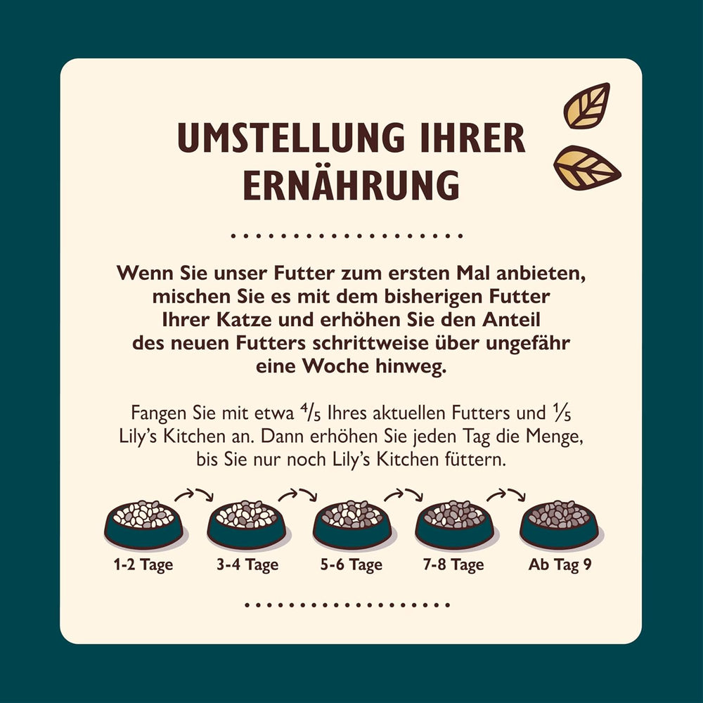 Lily’s Kitchen Aus Natürlichen Zutaten hergestellt Zerkleinerte Filets in Gelee mit Hühnchen und Lachs Ausgewachsen Nassfutter für Katzen 70 g Dose