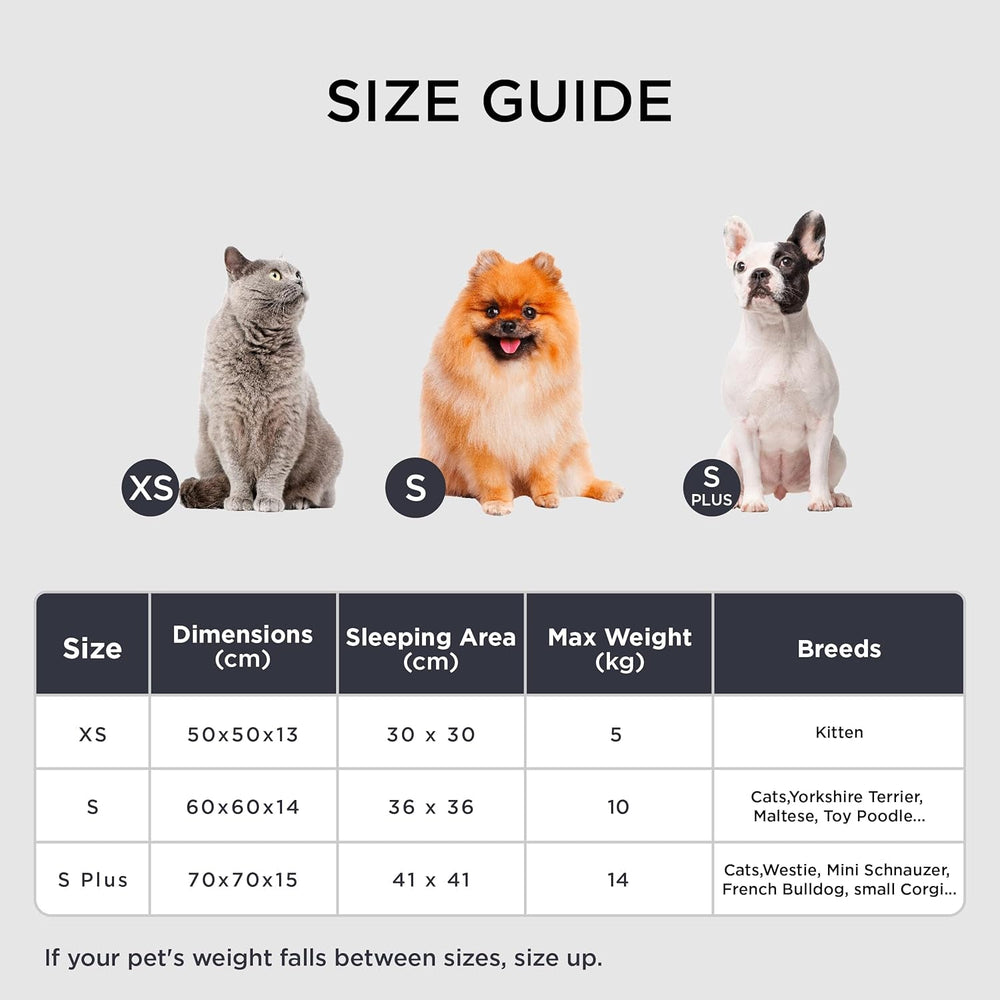 Paturi & Canapele, Pături & Mobilier, Animale de companie, Pisici, Paturi pentru pisici, Pisici - culcusuri, saltele
