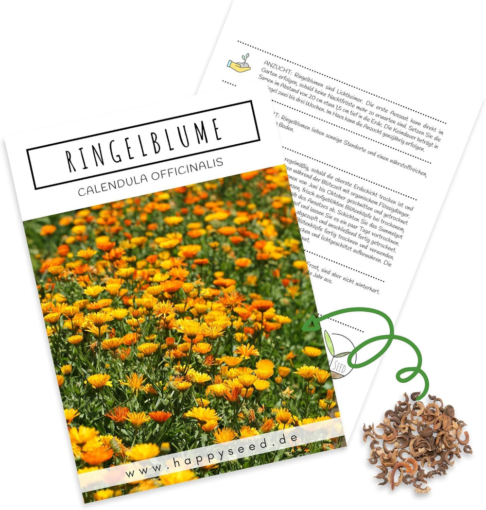 Calendula frø (Calendula officinalis) - Alsidig lægeplante med spiselige blomster og ideel til en farverig blomstereng (Abendrot)