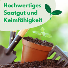 Cosmos Sensation Mix 1g frø, Cosmos Mix Sommerblomster, Haveplanter Balkonplanter, Blomsterfrø