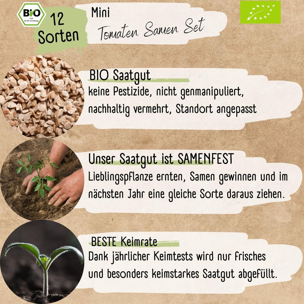 Økologisk mini tomatfrøsæt: 12 sorter af frit dyrkede tomater | Sjælden og familie cocktail, kirsebær og oksekød tomatfrø | Grøntsagsfrø til altan, højbed, have og gave | Kærlighedsplanter