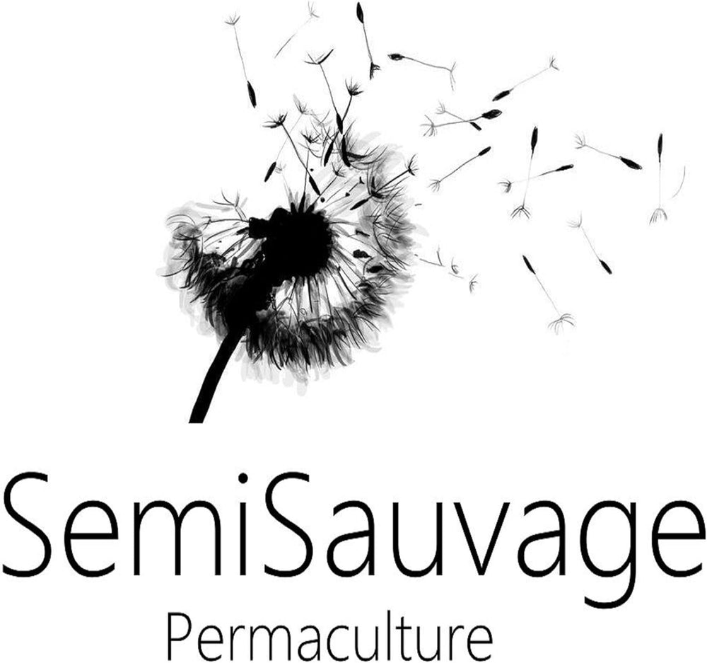 100 Goji-Samen, Staudenpflanze, Gemüsegarten, Obstgarten, Reproduzierbare Bäuerliche Samen, Semisauvage