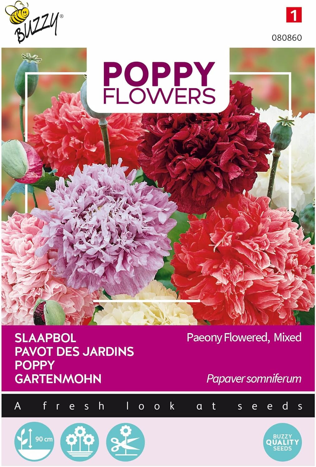 Valmueblomster Buzzy Mac Paeoniflorum Gef. Blande.