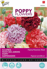 Valmueblomster Buzzy Mac Paeoniflorum Gef. Blande.