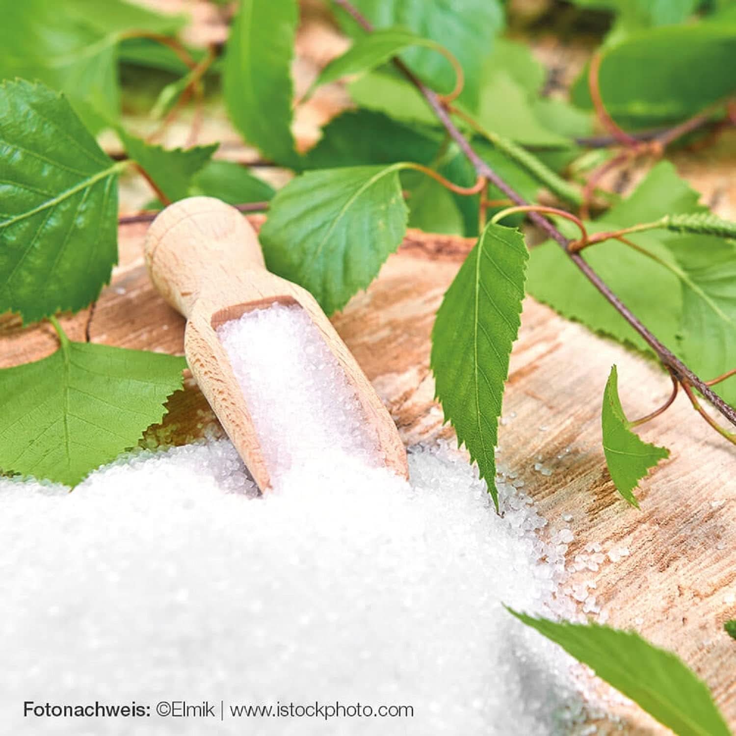 Raab Vitalfood Premium, Birkesukker med Xylitol sødemiddel, Vegansk, 1:1 Alternativ til sukker, 300 gram Sødemidler Naty Shop