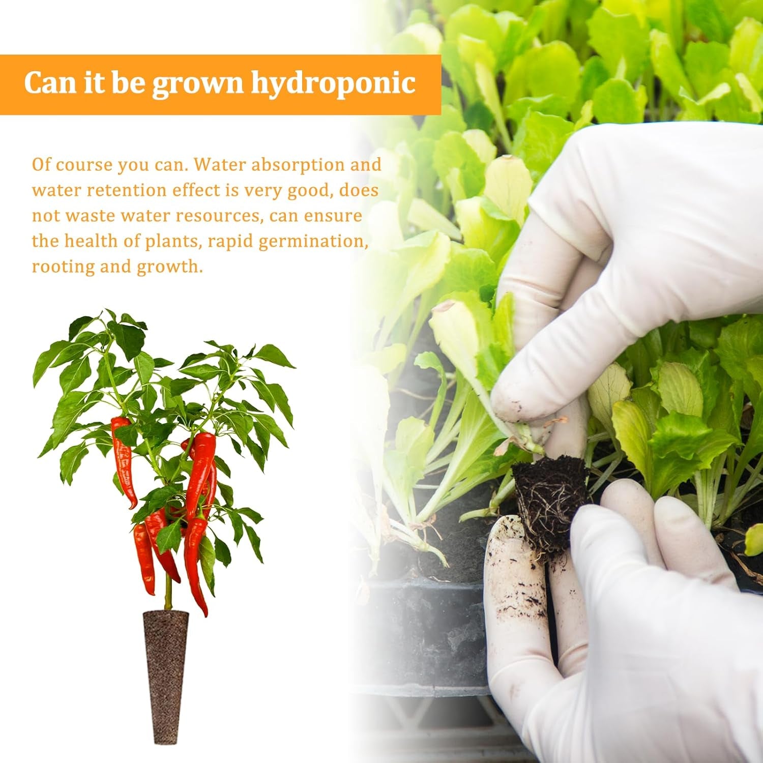 50 hydroponiske vækstsvampe, hydroponiske frøplantesvampe, roddyrkningssvampe, velegnet til forskellige slags knopper, såsom tomat, jordbær, mynte