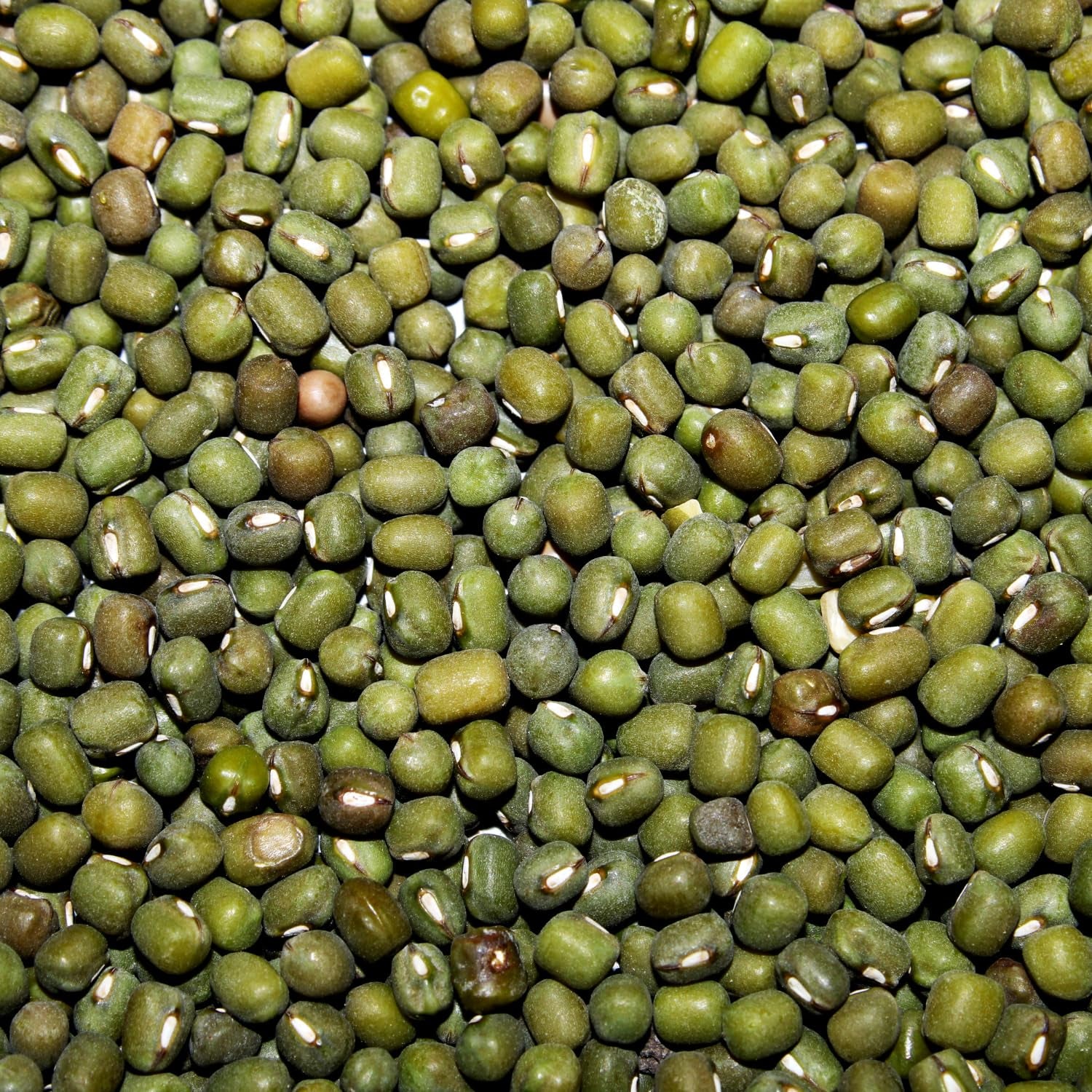 AFROASE - Mung grønne bønner - 1 x 1 kg (pakke med 2)