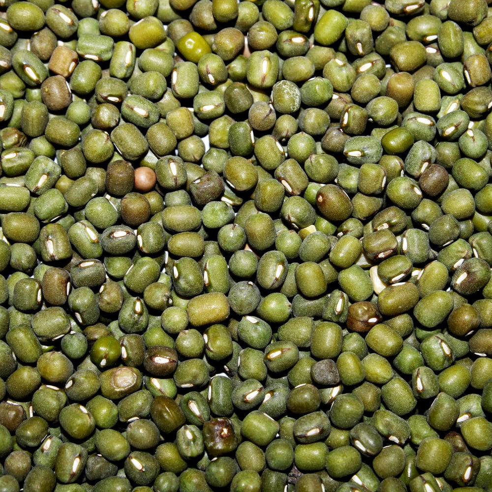 AFROASE - Mung grønne bønner - 1 x 1 kg