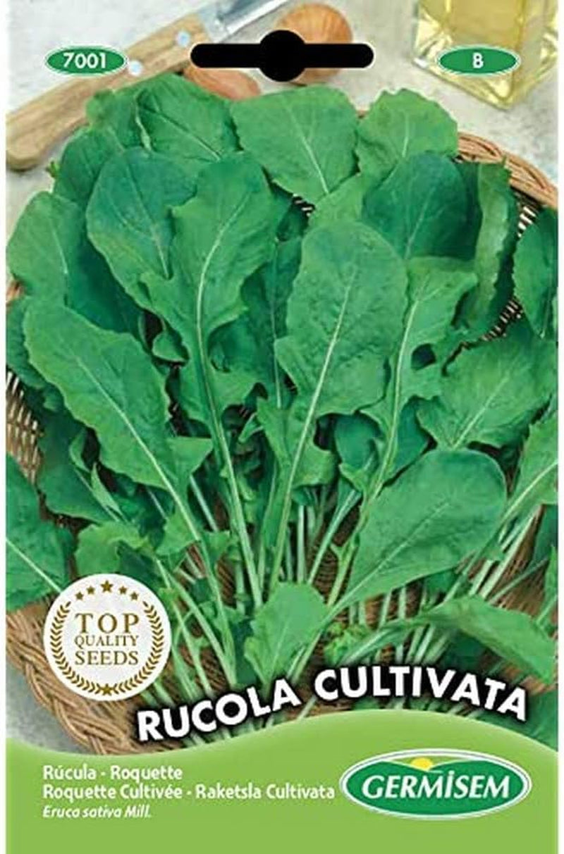 Rucola CULTIVATA Mehrfarbig