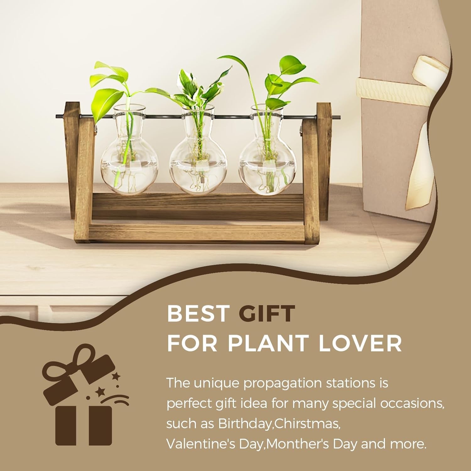 Bamworld Hydroponic Formeringsstation med træstativ - 3 glasvaser til vandplantedyrkning og boligdekoration