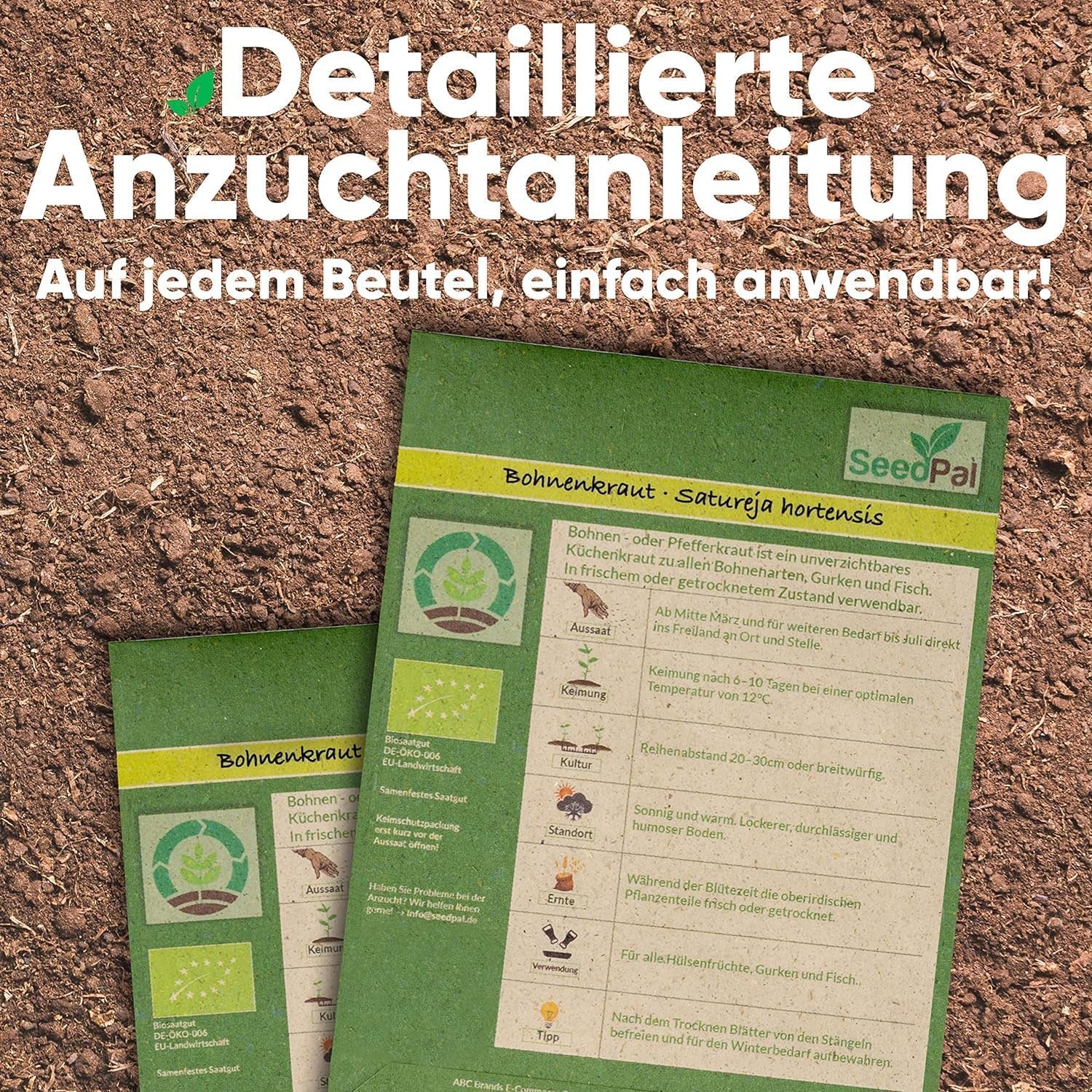 Kräutersamen Sæt - 12 Beliebtesten Küchenkräuter - Kräuter der Provence, Italiensk Kräuter - Kräutergarten für Küche oder Balkon - Samen Saatgut - Gartenkräuter Sorten