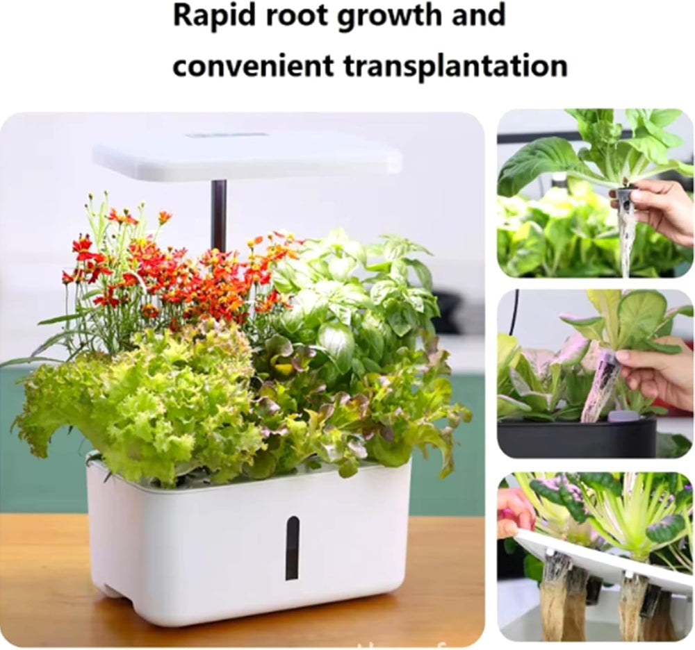 50 erstatningsdyrkningssvampe, frøetableringsrør, roddyrkningssvampepropper, hydroponiske vækstsæt til hydroponiske vækstsystemer, indendørs hydroponi, have