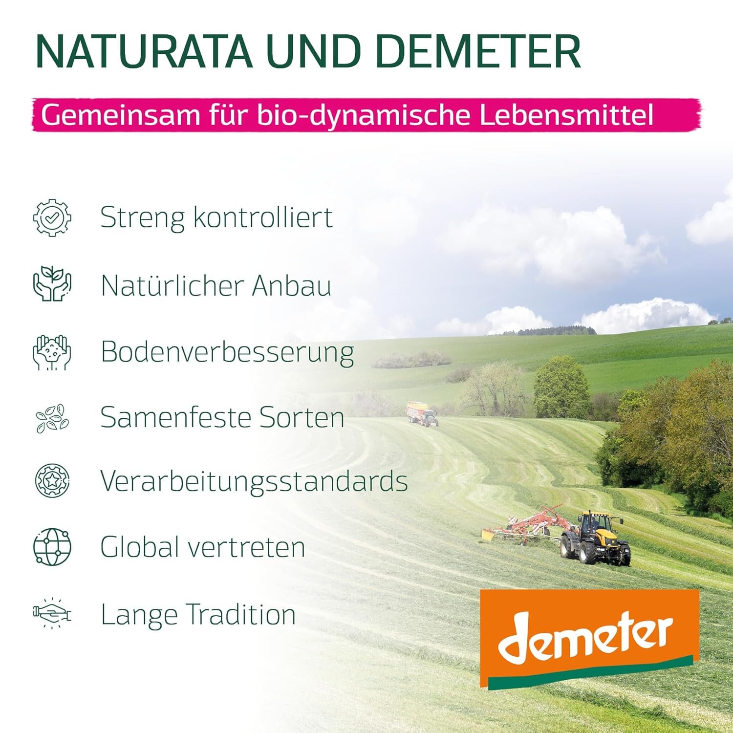 Økologiske speltlasagneplader, 250g | Demeter Spell fra de schwabiske alper | Delikat nøddesmag til lasagne og gryderetter