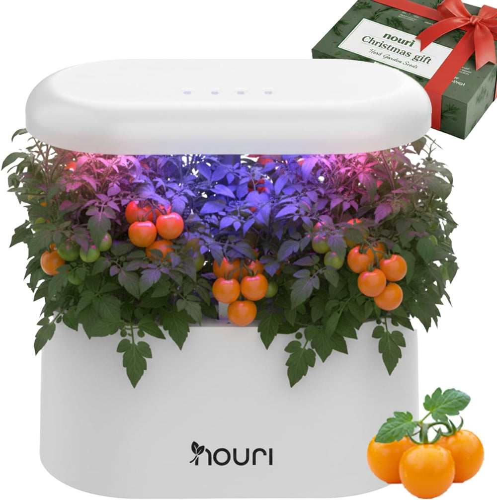 Ny 7 Bridge + Heirloom Basilikum | Smart Have til hjemmekokke | Hydroponisk dyrkningssystem | LED Grow Lights | Indendørs urtehavesæt til planteelskere og gartnere, hvid
