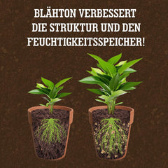 LERAVA® Expanded Clay (1L) – Lergranulat til stueplanter og hydroponics – Vegetabilsk ler med neutral pH for optimal dræning – Ideel som dræningslag eller dekorative lergranulat til planter