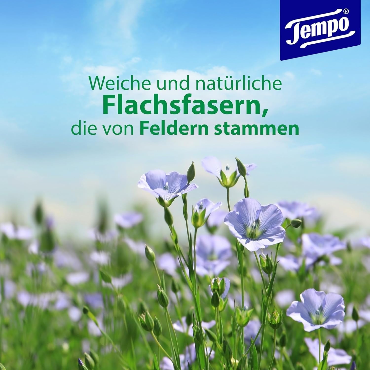 Șervețele igienice umede Tempo Avocade & Shea Butter, 16 pachete, megapack, 8 bucăți, 42 de șervețele