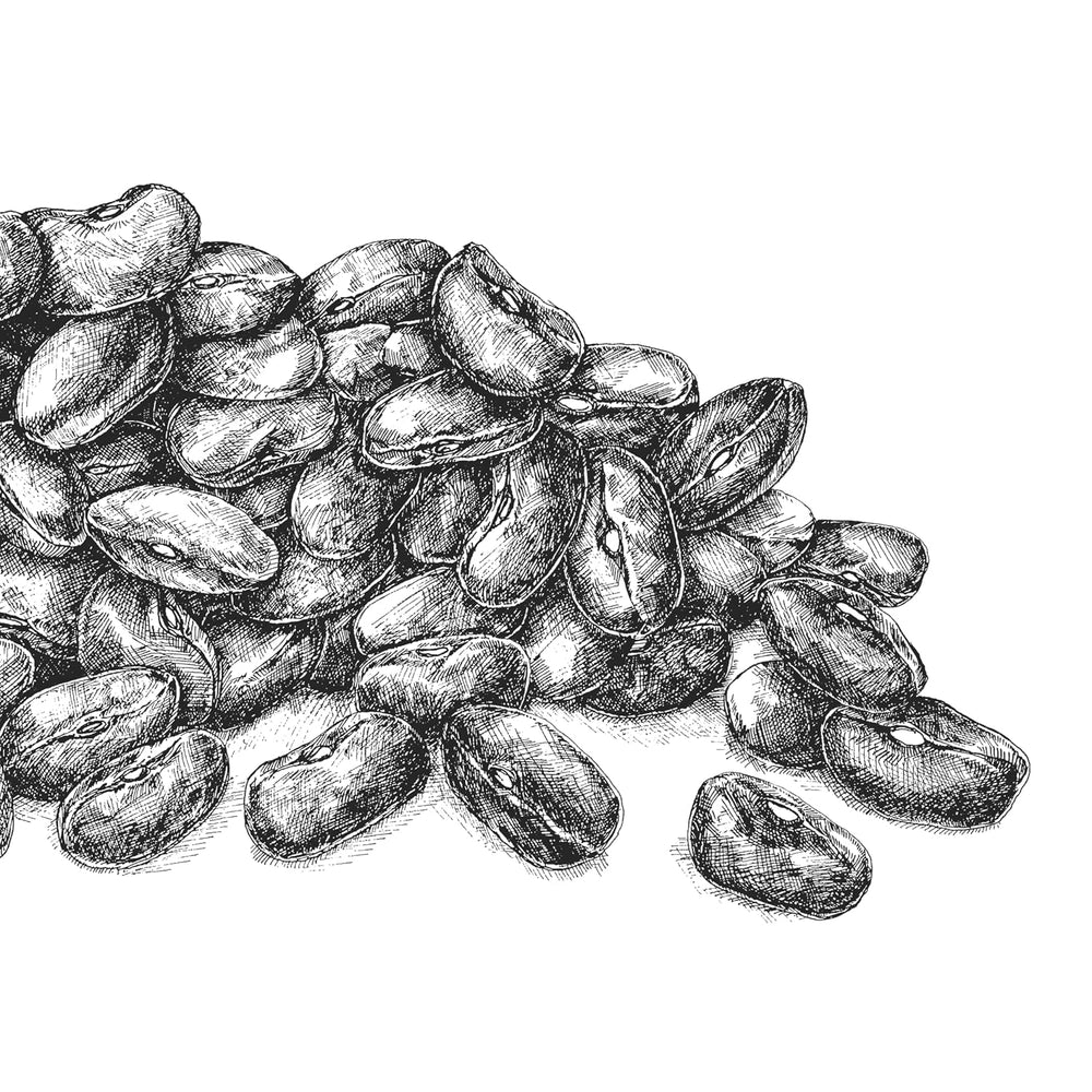 Boghvede BioGourmet Demeter – 500g pose | Glutenfri, fiberrig og regional | Fra tysk økologisk landbrug (Baden-Württemberg/Bayern) | Ideel til müsli, salater og tilbehør