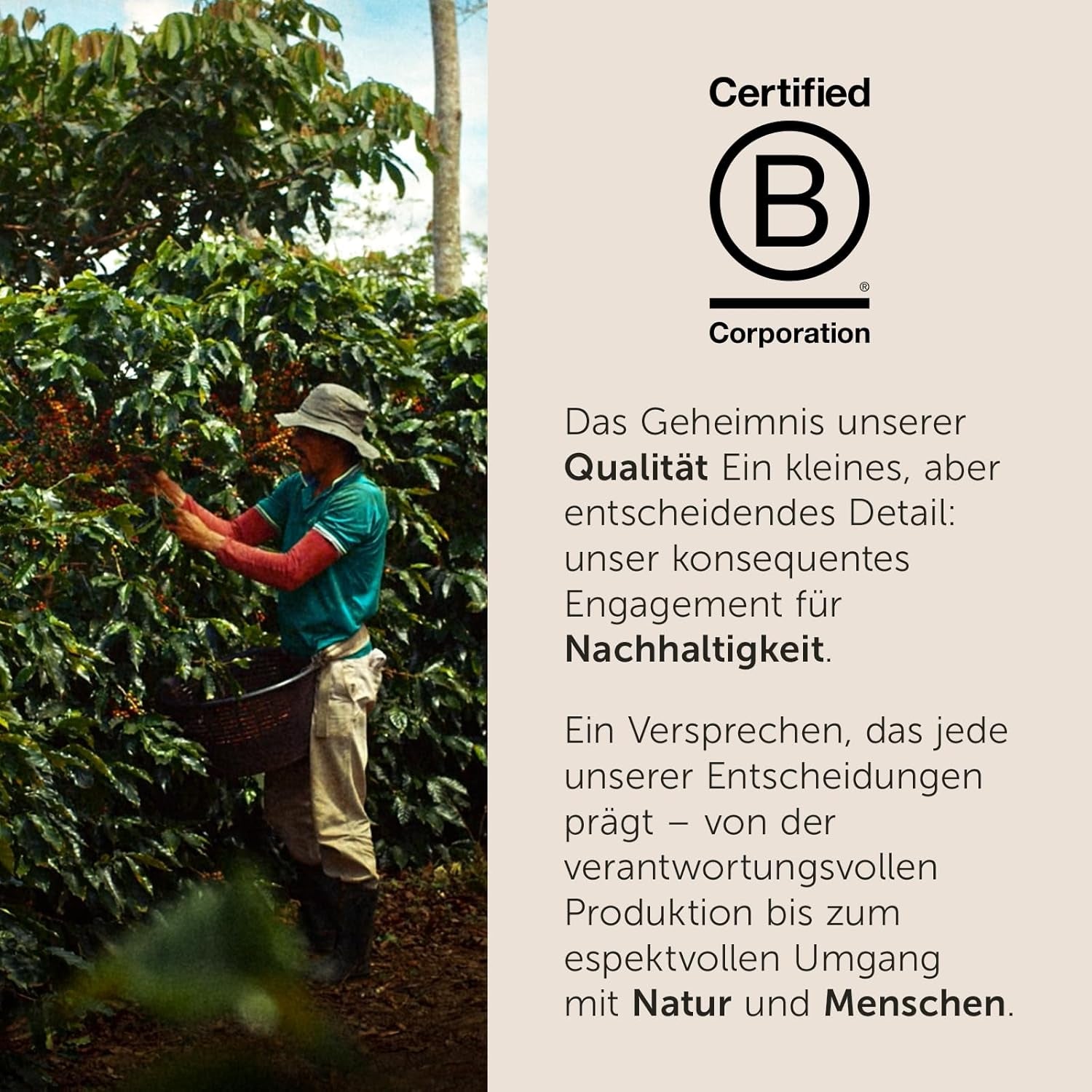 illy Iperespresso Kaffeekapseln klassische Röstung INTENSO, 1 Packungen zu je 18 Kaffeekapseln