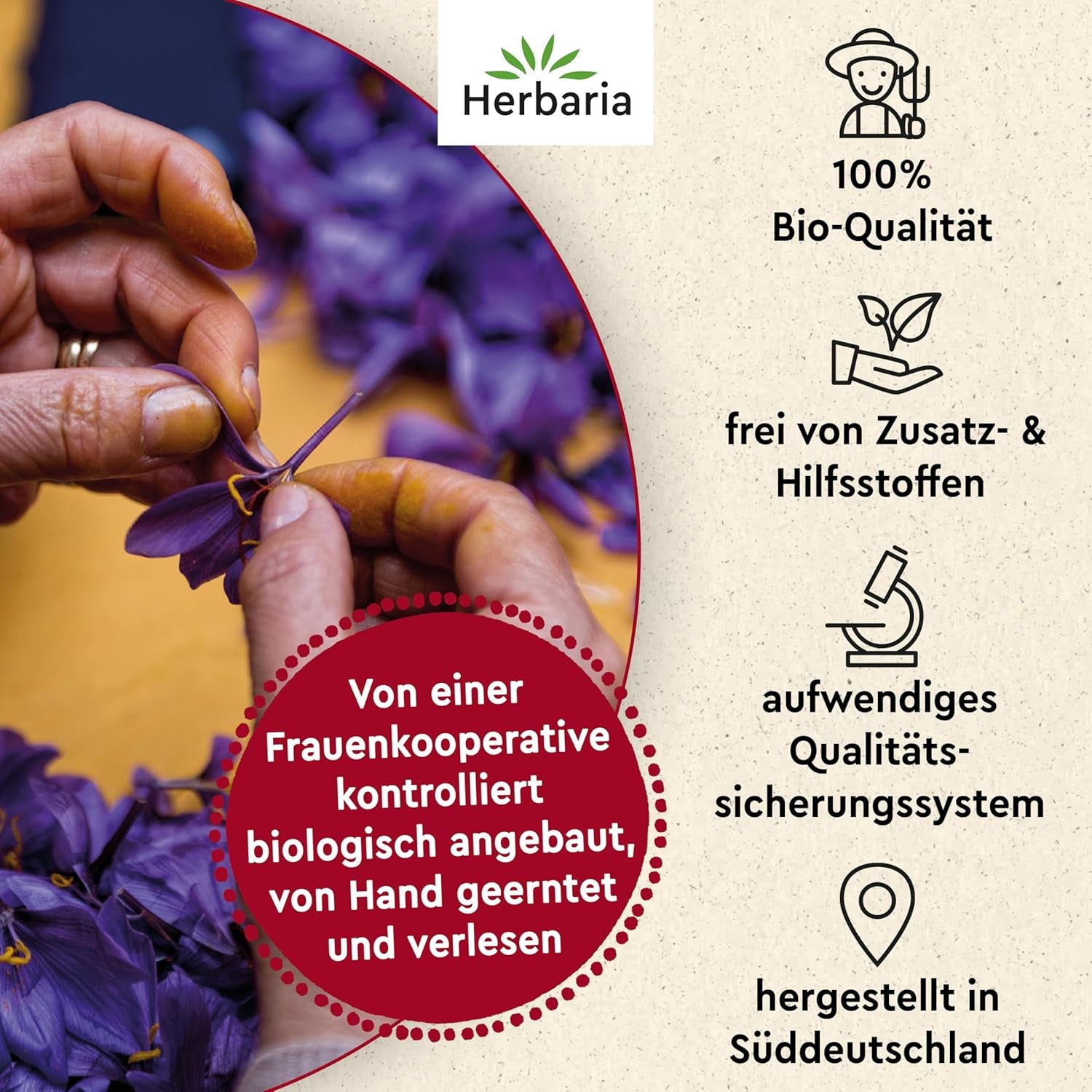 Herbaria Safran-Fäden bio 0,5g im Glas – Bio Saffron-Fäden aus dem bereicht Safran-Ort Taliouine i Marokko – Safranfäden i Premium Bio-Qualität – Saffron Premium - Safran première catégorie