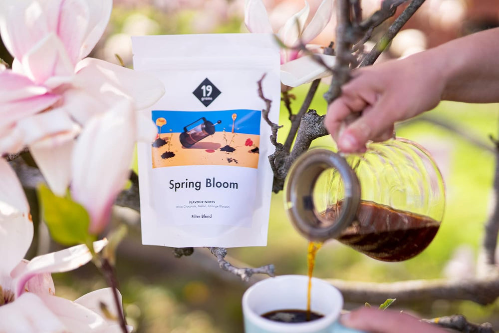 Filtru Spring Bloom | 250 g boabe întregi | echitabil și sustenabil | proaspăt prăjit | boabe de cafea 100% Arabica | cafea specială | 19 grame Cafe Roastery…