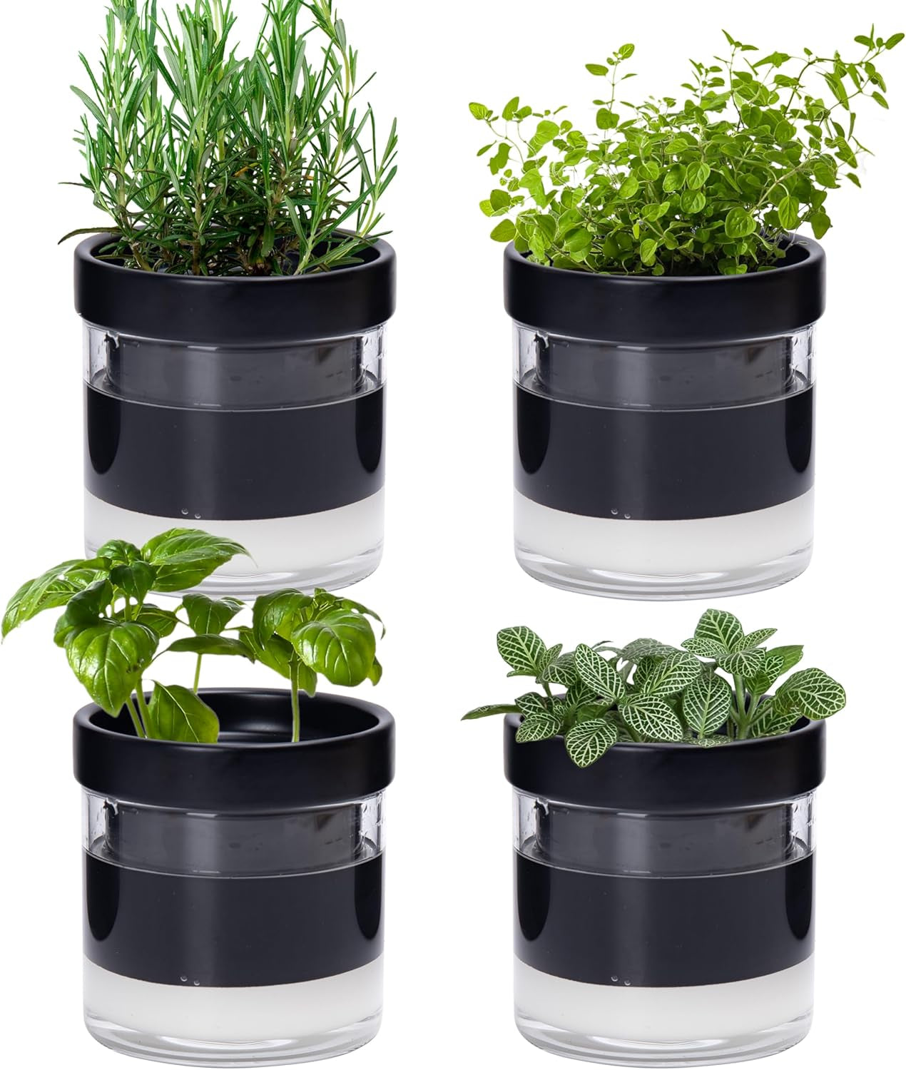 Ghiveci cu auto-udare, 15,2 cm, ghiveci din teracotă cu rezervor de sticlă pentru plante de apartament, ierburi aromatice, flori, 52-AF