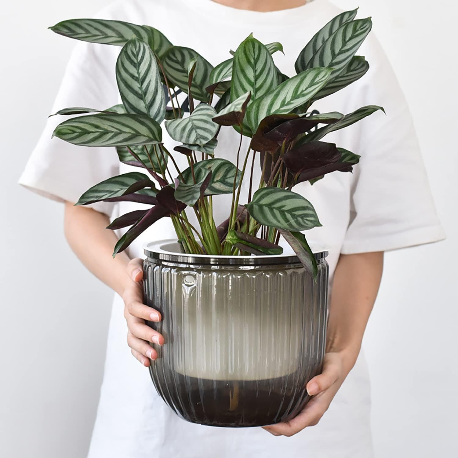 Sæt med 2 selvvandende hængende plantekasser, 16,5 cm indendørs hængende urtepotte med 3 kroge og drænhuller til indendørs og udendørs brug, loft, balkon og vægdekoration (grå)