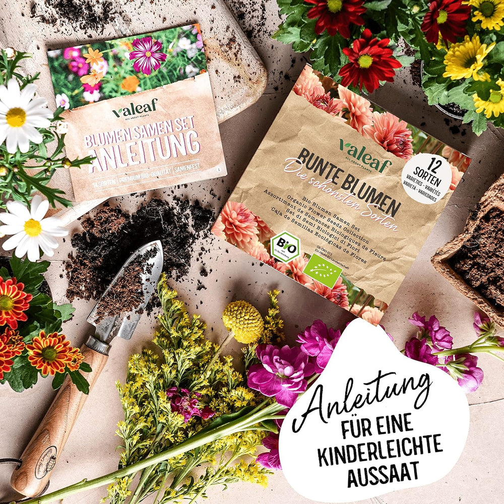 Økologisk blomsterfrøsæt | 12 sorter af blomsterfrø | Premium blomsterfrø | Wildflower frø plante frø sæt | Blomsterfrø | Blomsterfrø til altanen | Ideel gave med blomsterfrø