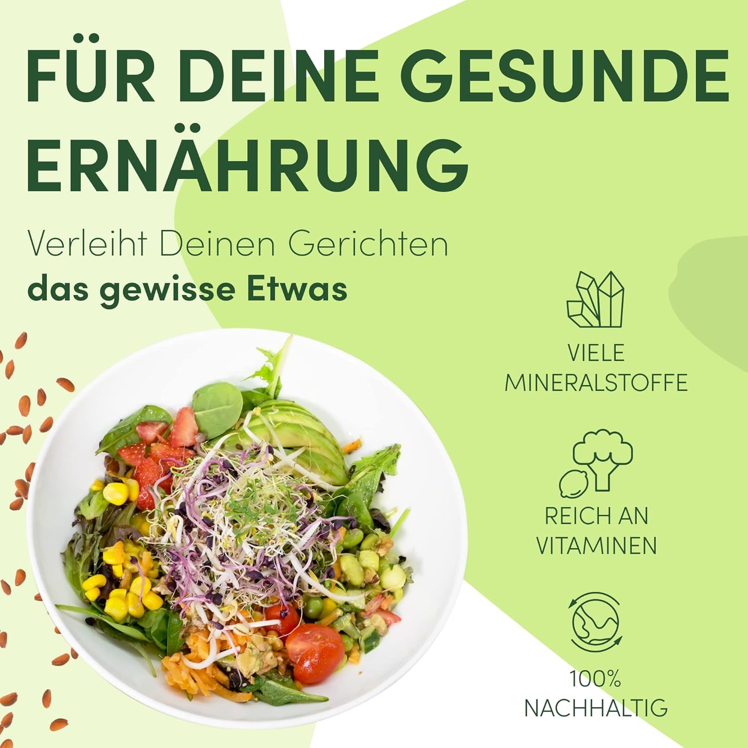 [Originalt startsæt med spirekrukke + karsefilter | 1000 ml med højkvalitets rustfrit stål Mesh Cover Stand Keramisk bakke + ABC til spiring [Printversion] Frøplantebakke med spiringskrukke