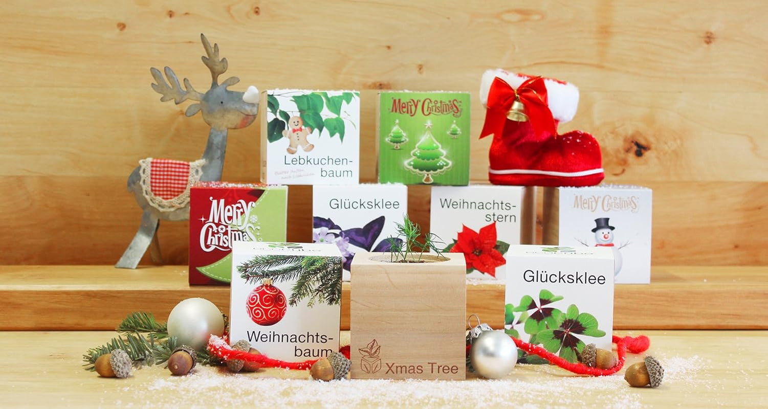 Feel Green Ecocube Weihnachtsbaum/Xmas Tree, Nachhaltige Geschenkidee (100% Eco Friendly), Grow Your Own/Anzuchtset, Pflanzen Im Holzwürfel, Made in Austria