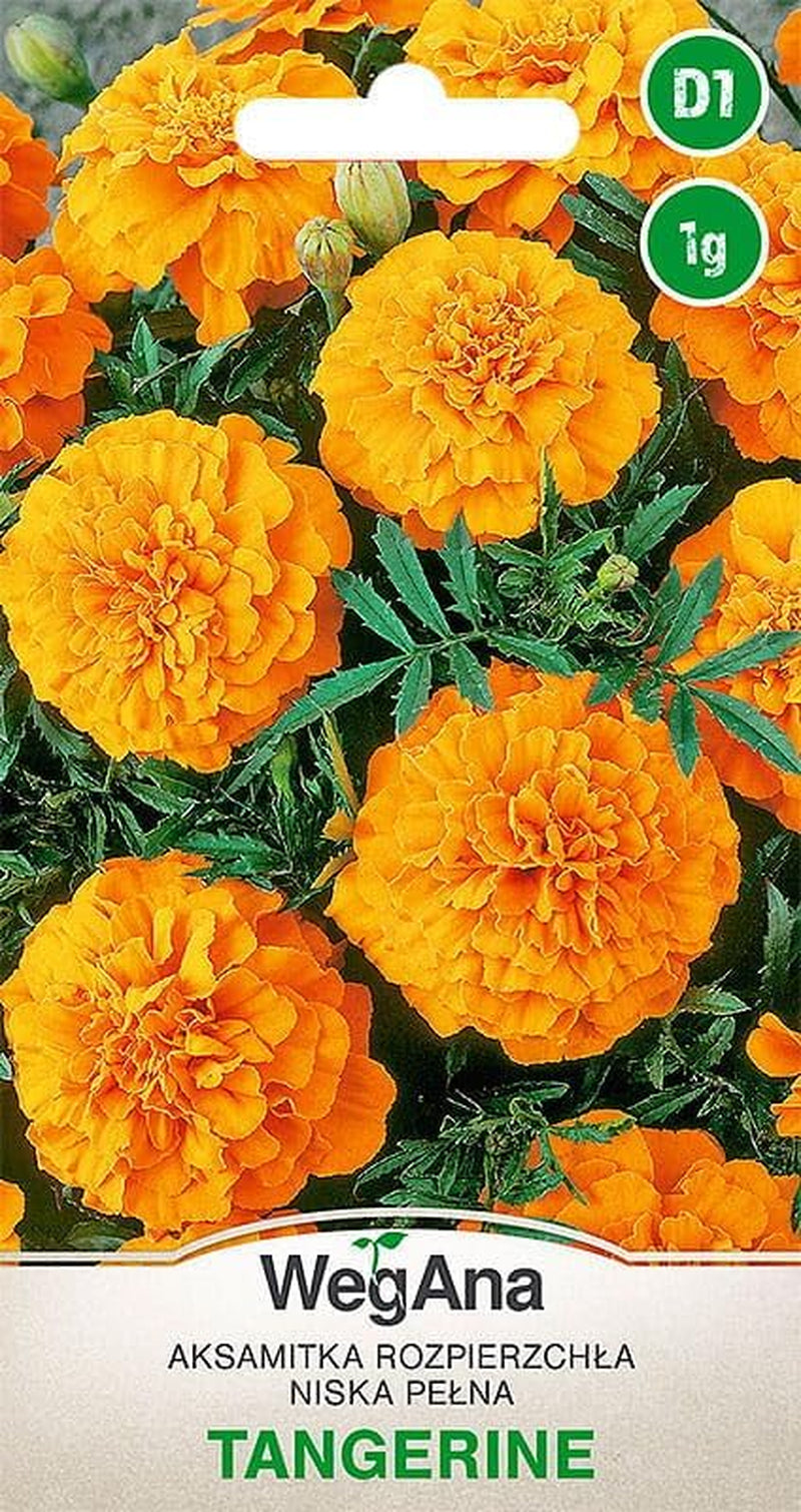 Cosmos Sensation Mix 1g frø, Cosmos Mix Sommerblomster, Haveplanter Balkonplanter, Blomsterfrø