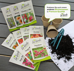 La Verde MIN HAVE OG MIG. Tagetes Bonita Bland blomsterfrø i ca. 100 planter, langblomstrende morgenfruer, dobbelte blomster, ikke-GMO frø