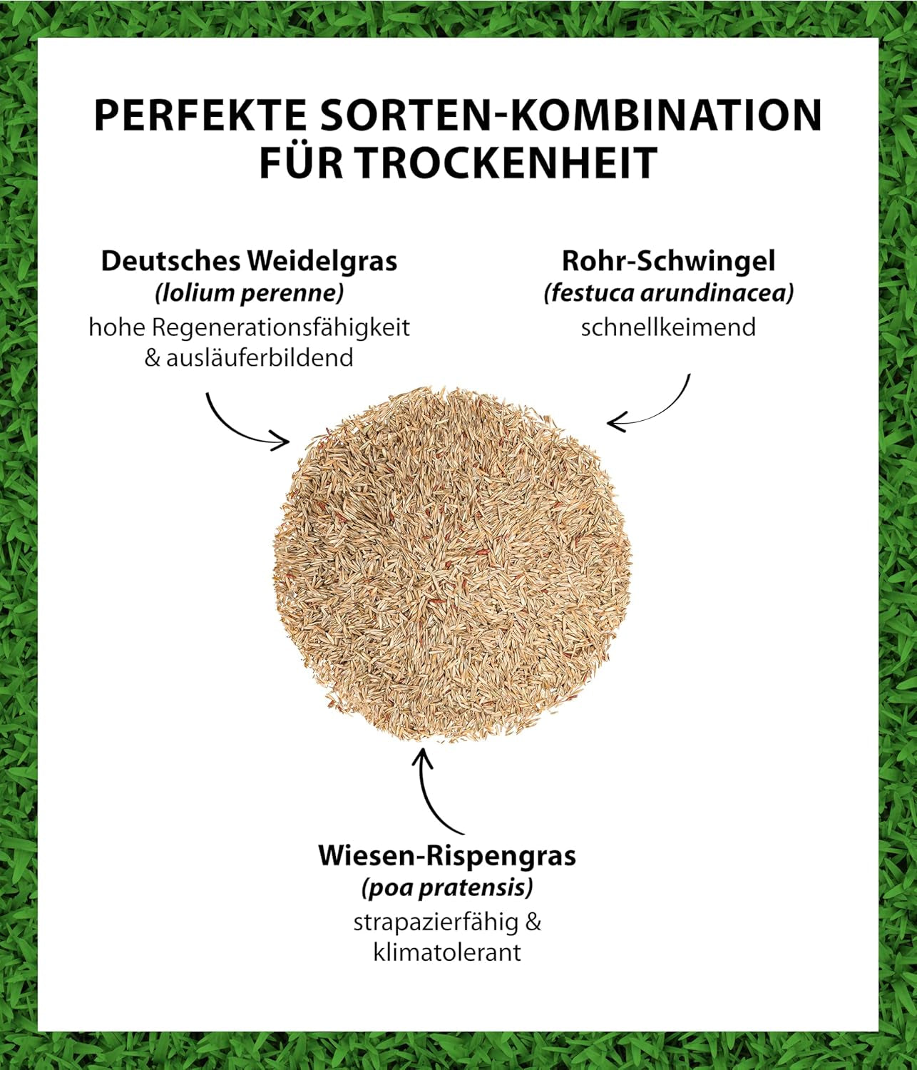 Dehner Saatgut Rasensamen, Trockenrasen, Hochwertige Saatgutmischung, Strapazierfähig/Selbstregenerierend, 750 G, Für Ca. 25 M², Natur