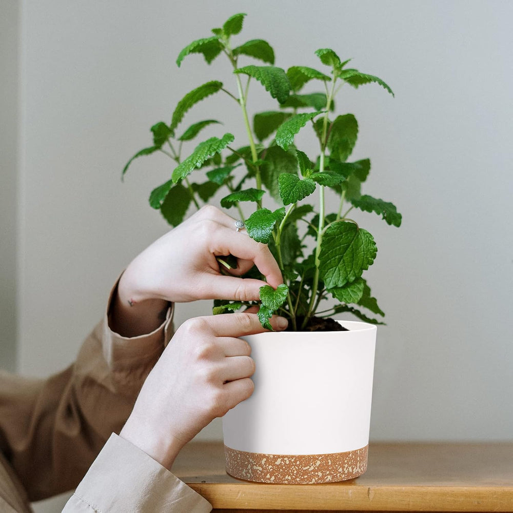 12,7 cm sæt med 2 blomsterpotter, indendørs plantepotter med drænhuller og aftagelig bund, moderne dekorative underkopper til udendørs haveplanter (hvid 12,7 cm)