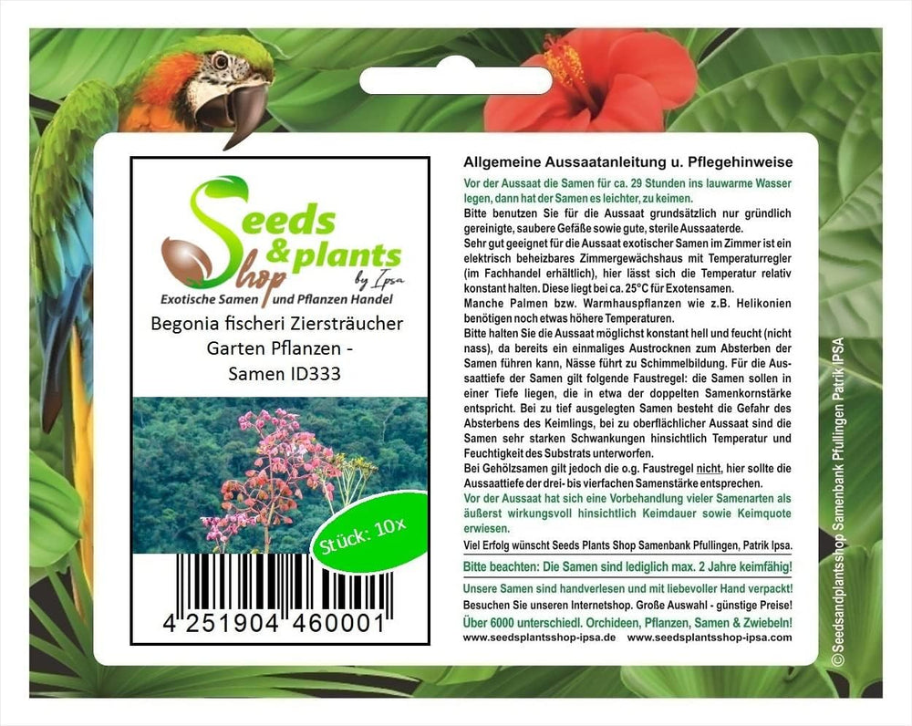 Stk - 10X Begonia Fischeri Ziersträucher Garten Pflanzen - Samen ID333 -
