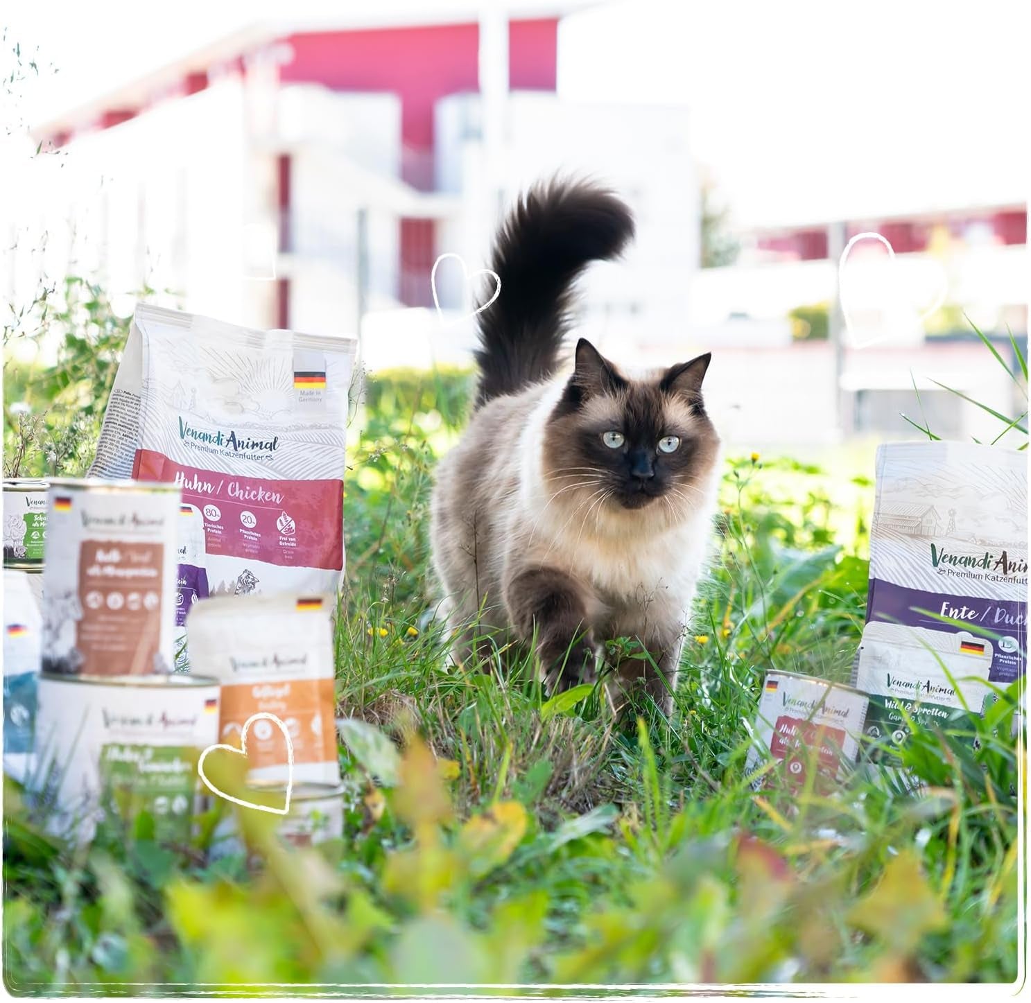 Venandi Animal Premium Hrană umedă pentru pisici, Tasting Pack III, pui, curcan, vită, pui + iepure, vițel, curcan, 6 X 200 G, fără cereale și naturală, 1.2 Kg