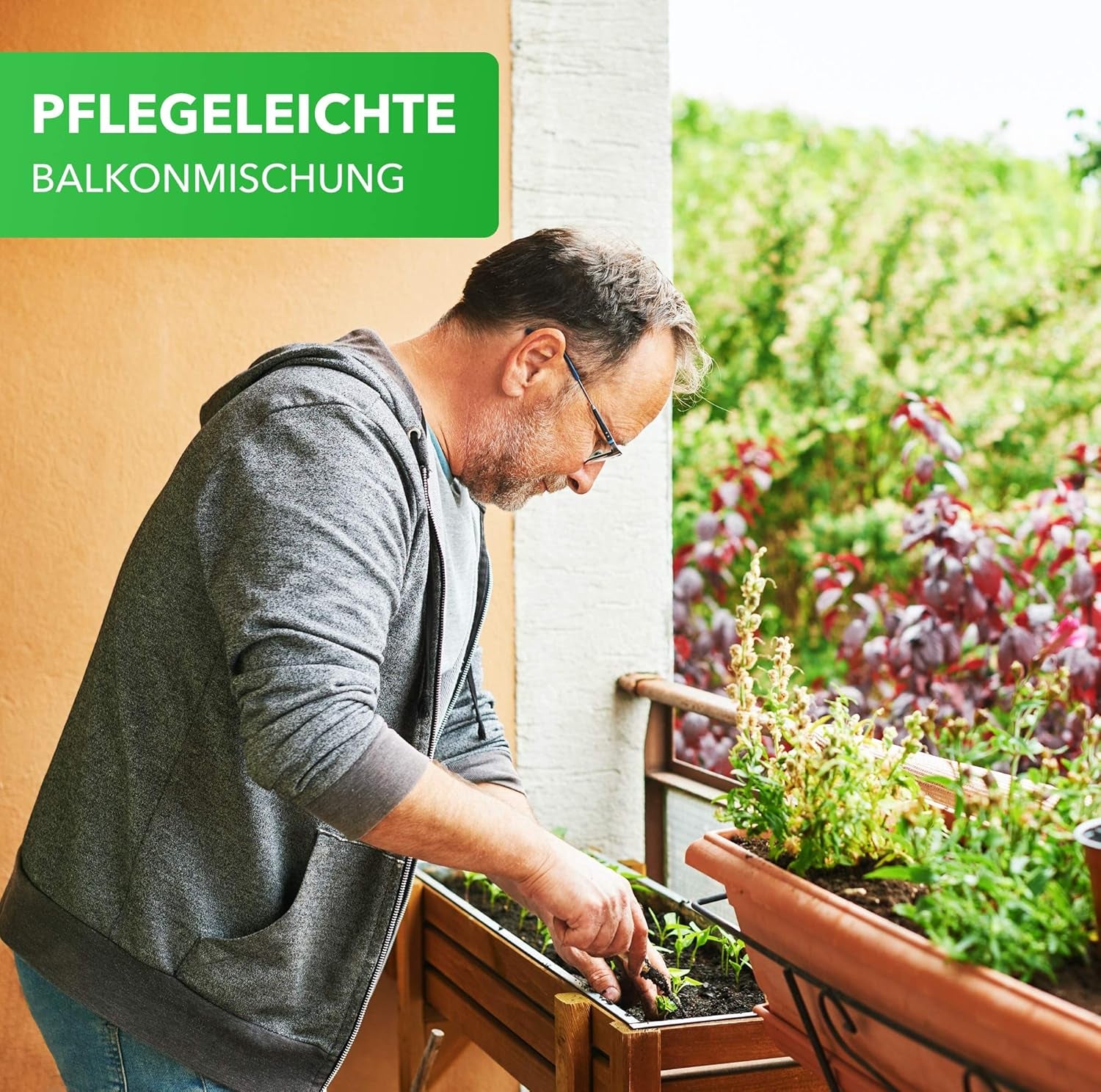 Magic of Nature Balcony Box Mix - 10 g frø - Bivenlige planter - Nem at bruge - Bee Paradise - 5 indfødte dyrkede arter - Velegnet til blomsterkasser og plantekasser