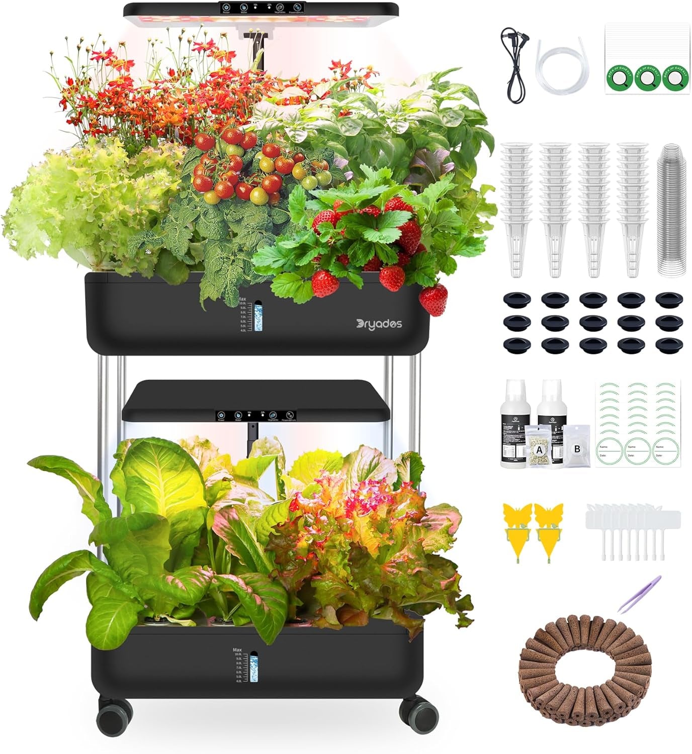 Hydroponic Grow System: 8 kapsler, 24W LED-lampe med fuld spektrum med advarsel om lavt vand | Indendørs have til køkken, stue, skole | Gaveidé til amatørgartnere