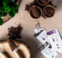 10 Bonsai frø fra 5 kontinenter | Eksotiske træfrø til din unikke bonsai | Startsæt og planteentusiaster | Vores Bonsai-sæt som en speciel gaveidé