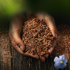 Biocentrale hele hørfrø | 7 x 400 g økologiske hørfrø | Ideel til yoghurt, müsli og brød | Alternativ til psyllium, hampefrø og chiafrø