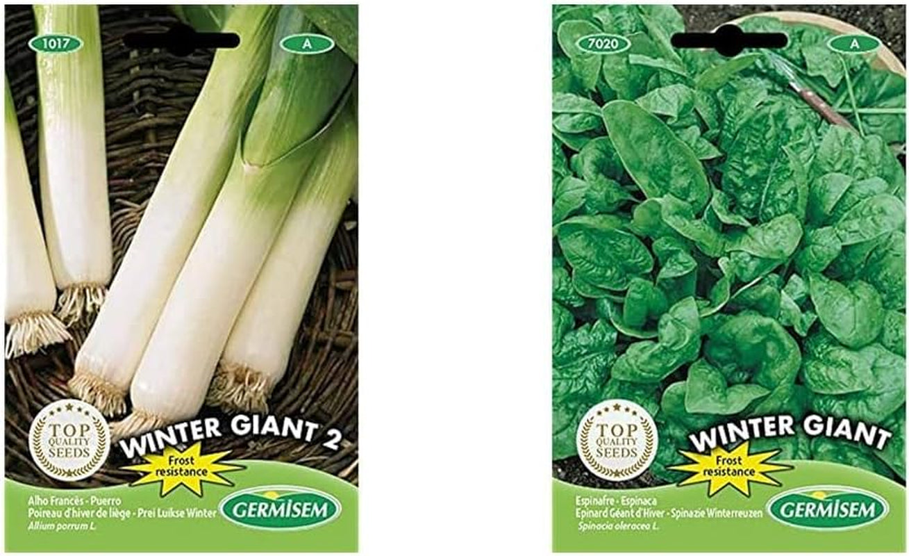Lauch WINTER GIANT, Mehrfarbig, EC1017 & Spinat WINTER GIANT, Mehrfarbig, EC7020