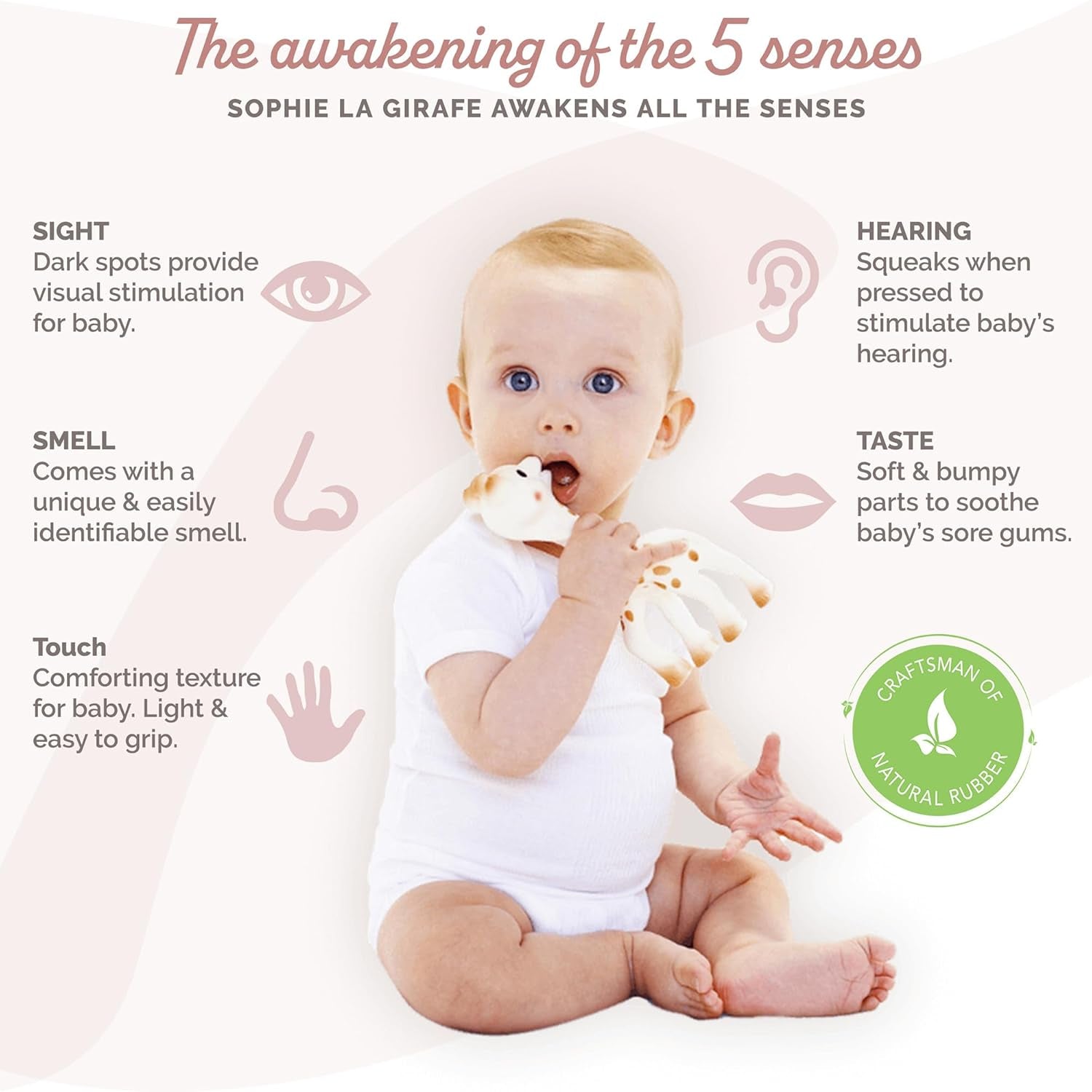 Girafa Sophie – Cutie cadou pentru bebeluși + Inel de dentiție – 100% cauciuc natural – Set de activități pentru copii – Jucărie pentru învățare timpurie